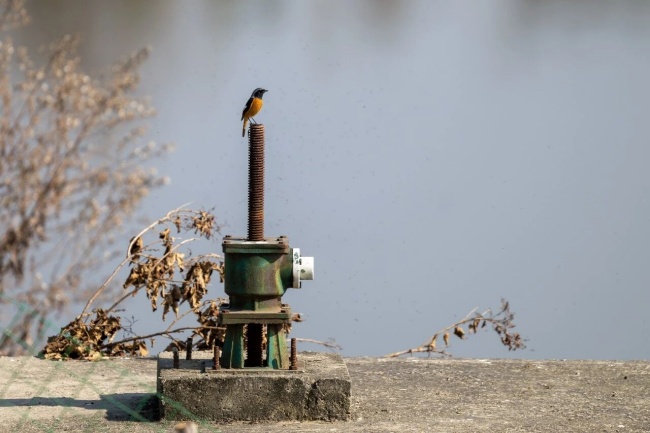 罗翔：我的年终总结 | 二湘空间